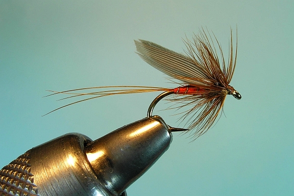 red spinner fly