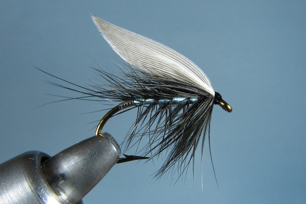 Blue Blow Wet Fly