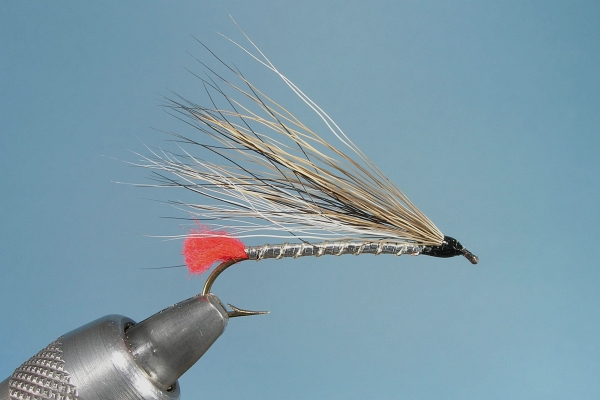 Black Nose Dace Streamer