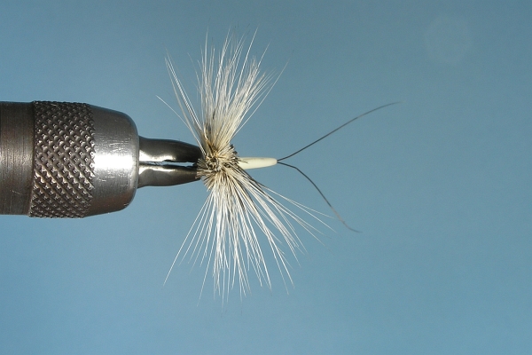 Coffin Fly Dry Fly Front