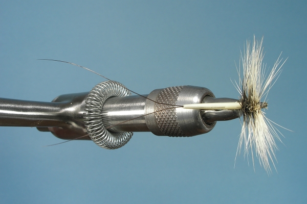 Coffin Fly Dry Fly Top