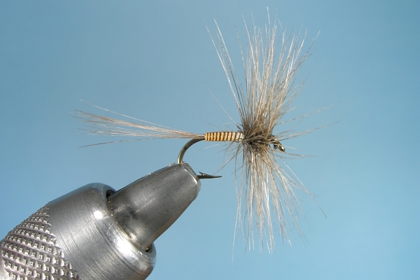 Dun Variant Dry . Fly