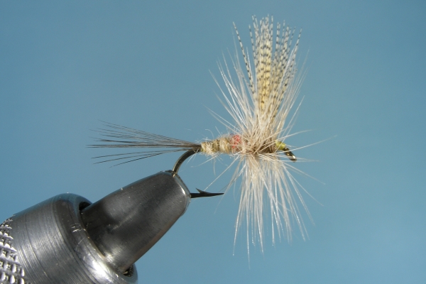 Hendrickson Dry Fly