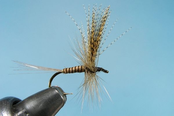 Quill Gordon Dry Fly