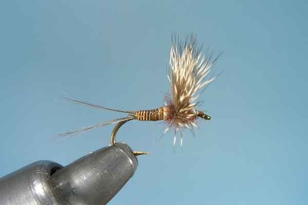 Red Quill Comparadun Dry Fly