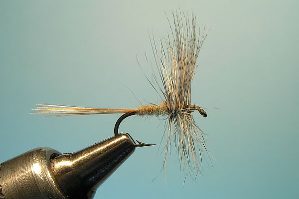 Gray Fox Dry  Fly