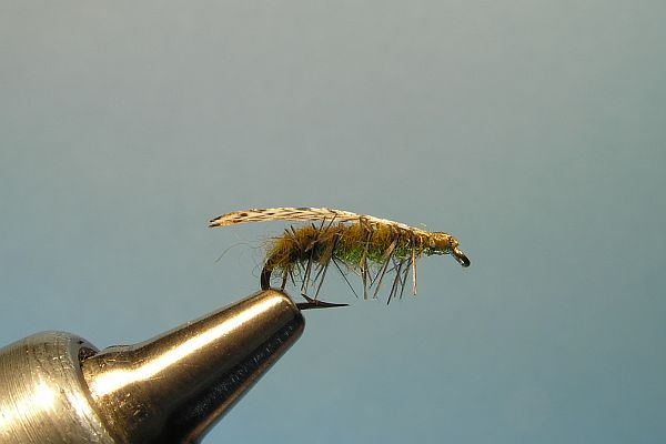 Green Down Wing Caddis Dry Fly