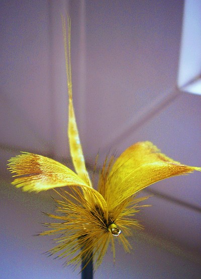 Fanwing Mayfly Dry Fly