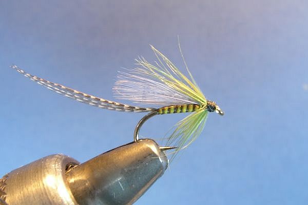 Blue Winged Olive Wet Fly