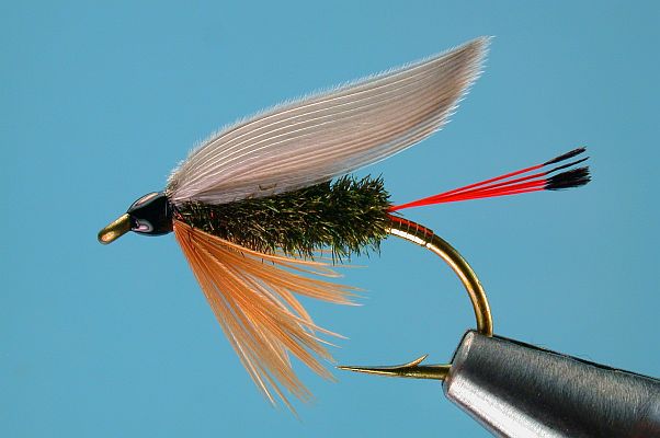 Leadwing Coachman Wet Fly