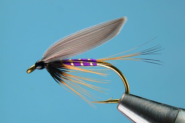 Purple Wet Fly