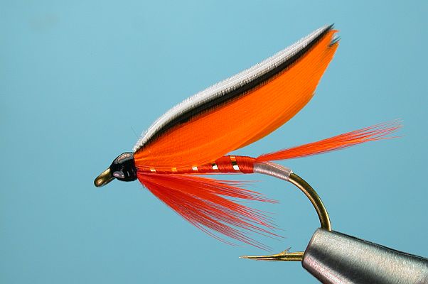 Trout Fin Wet Fly