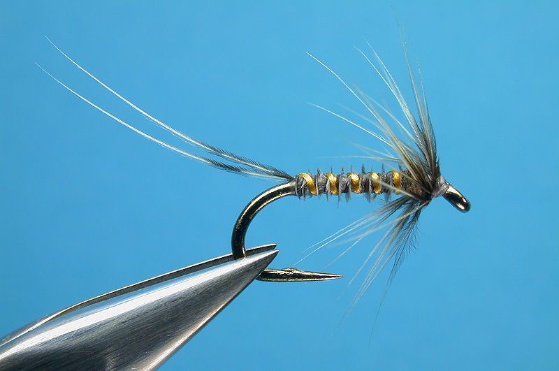 Brahma & Herl Tailed Wet Fly