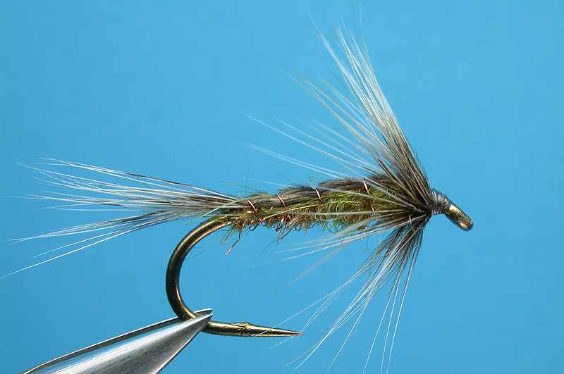 Shellback Wet Fly