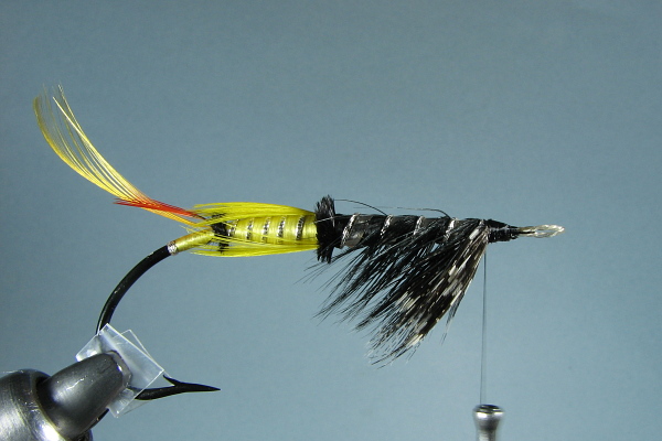 The Salmon Fly Proportion, Design & Layout Guide