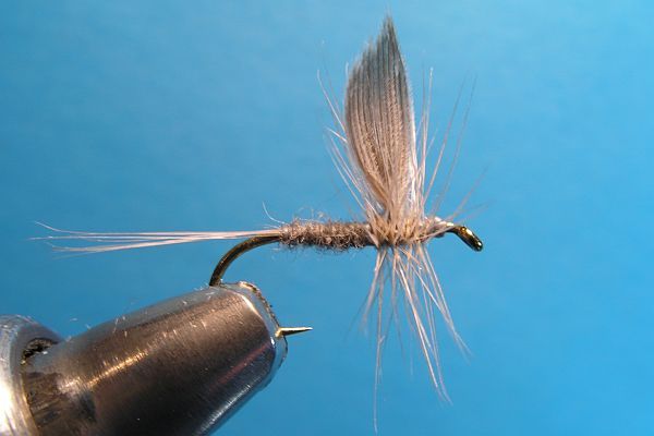 Blue Dun Dry  Fly