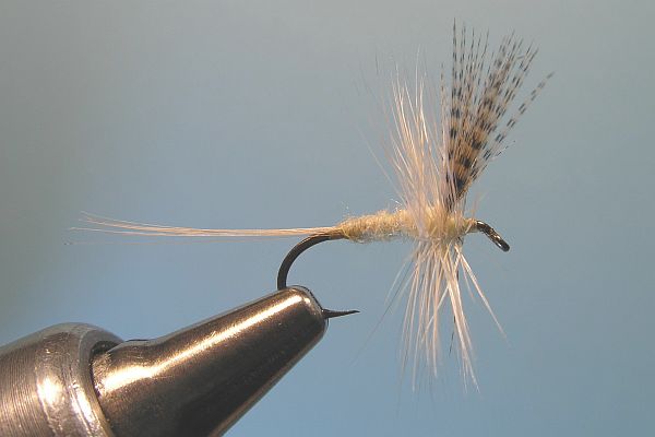 Light Cahill Dry  Fly