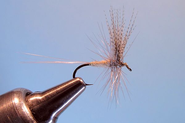 Light Hendrickson Dry  Fly