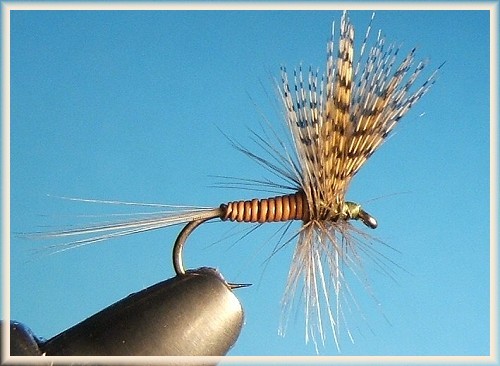 RedQuill Dry  Fly