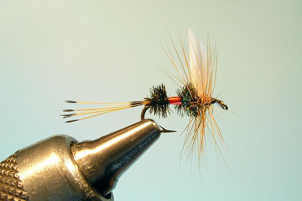 Royal Coachman Dry  Fly