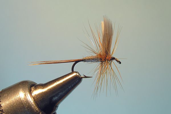 Whirling Blue Dun Dry  Fly