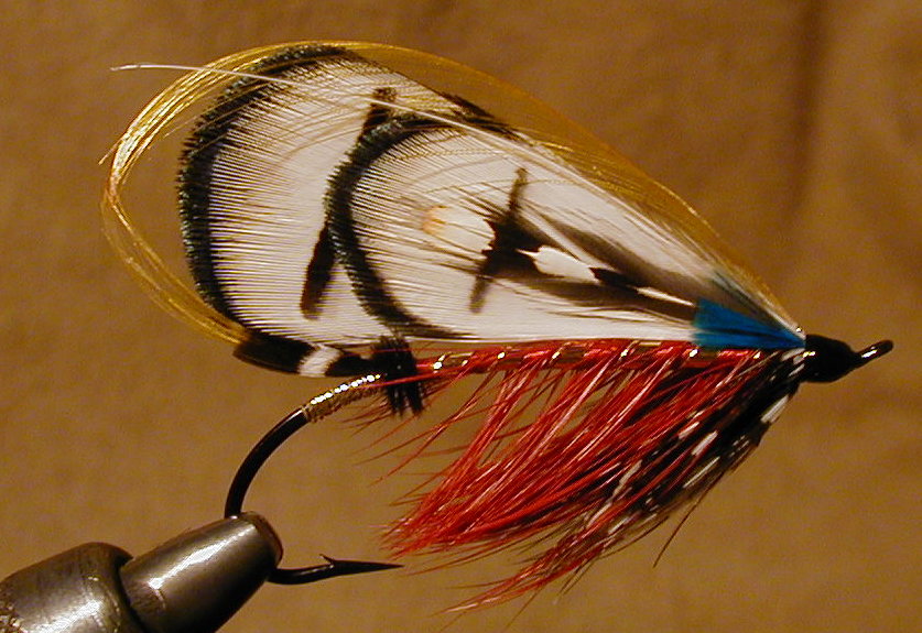 Colonel's Lady Salmon Fly