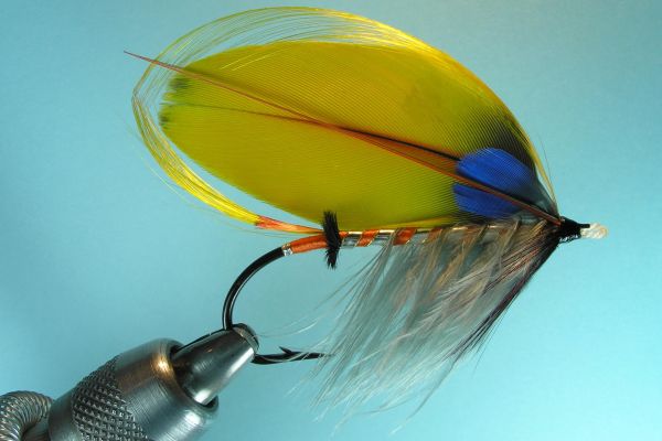 Mystery Salmon Fly