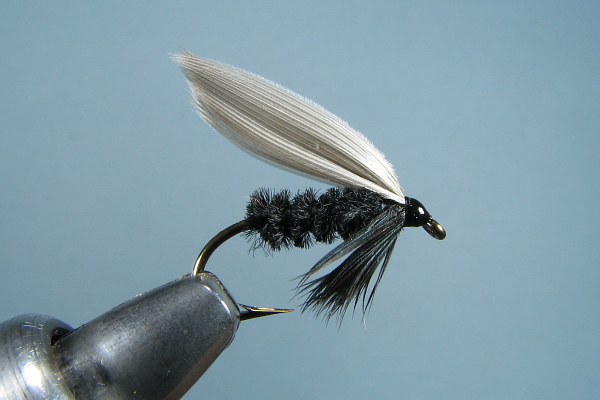 Black Gnat Wet Fly