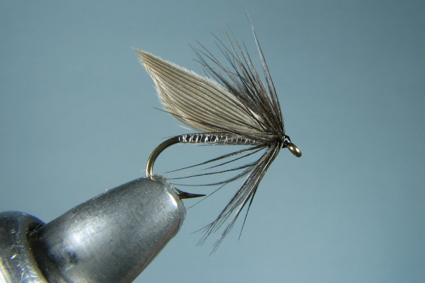 Black Gnat Silver Wet Fly