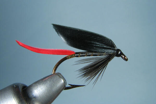 Black Prince Wet Fly