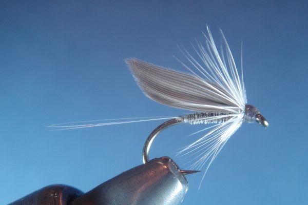 Blue Dun Wet Fly