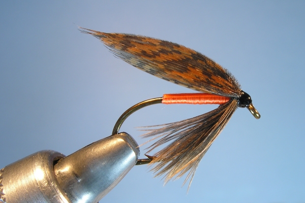 Cooper Wet Fly