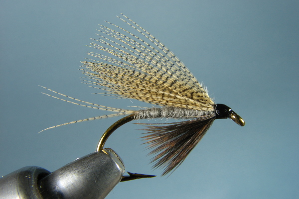 Dark Cahill Wet Fly