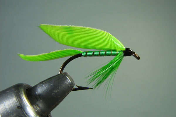 Katydid Wet Fly