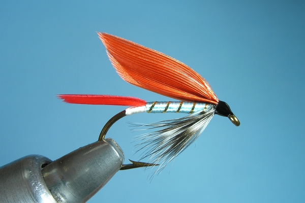 Rainbow Wet Fly