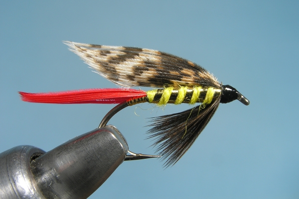 Turkey Wet Fly