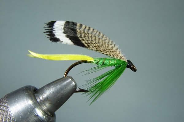 Wood Duck Wet Fly