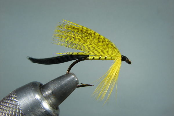 Yellow Drake Wet Fly