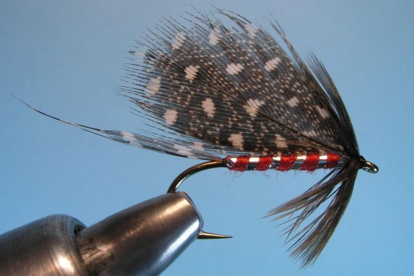 Parker Wet Fly