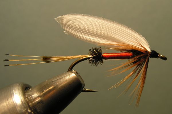 Royal Coachman Wet Fly